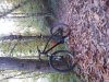 20151025_110539.jpg