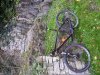 20151025_113944.jpg