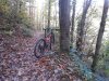 20151025_110634.jpg