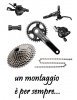 gruppo-xt-monocorona-2016-1x11.jpg