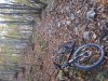 20151101_153222.jpg