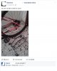 Immagine59.JPG