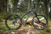 Canfield-Brothers-EPO-1.jpg