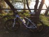 Orbea Alma Crossmax 01.jpg