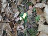 Foto0181.jpg