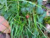 Foto0182.jpg