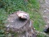Foto0186.jpg