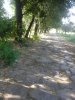 Foto Video telefonino 2015 1229.jpg