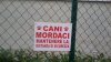 IMG-20160106-WA0003.jpg