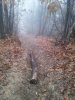 20160109_113348.jpg