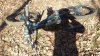 20160221_124527.jpg