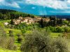MarchesiMazzei_FonterutoliHamlet.jpg