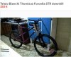 thomisus.JPG