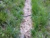Foto0218.jpg