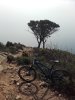20160407_102307.jpg