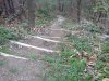 Foto0221.jpg