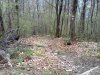 Foto0223.jpg
