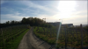 Screenshot_2016-04-14-20-03-30.png