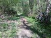 Foto0231.jpg
