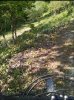 IMG_20160506_181246.jpg
