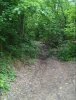 IMG_20160506_181331.jpg