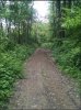 IMG_20160506_181349.jpg