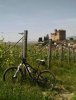 IMG_20160522_165611.jpg