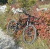20141101_115611-1.JPG