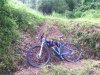 IMG_20160607_150545.jpg