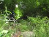 2016-06-12 Calolziocorte-valcava-Erve 08.jpg