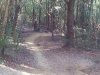 IMG_20160705_084851.jpg