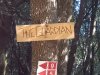 IMG_20160705_084828.jpg