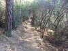 IMG_20160705_083303.jpg