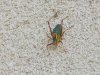 DSCN0825.jpg