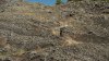DSCN5221.jpg