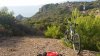 20160817_181534.jpg