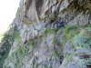 2016-07-14 Rifugio Curò e lago del Barbellino (9).jpg