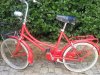 bici.jpg