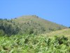 2016-09-17 Alpe tagliata - M.Olano - M (7).jpg