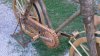 100_0038.jpg