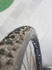 20160924_110018 (640x480).jpg