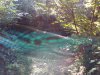 IMG_20161005_114935.jpg