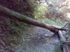 IMG_20161005_115133.jpg