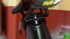 20161009_125130.jpg
