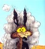 wpid-wile-e-coyote-1jpg.jpg
