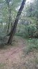DSC_0019.jpg