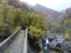 DSC01231.JPG