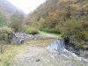 DSC01238.JPG