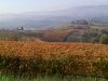 IMG_20161027_113503462.jpg