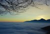 DSC01423.jpg
